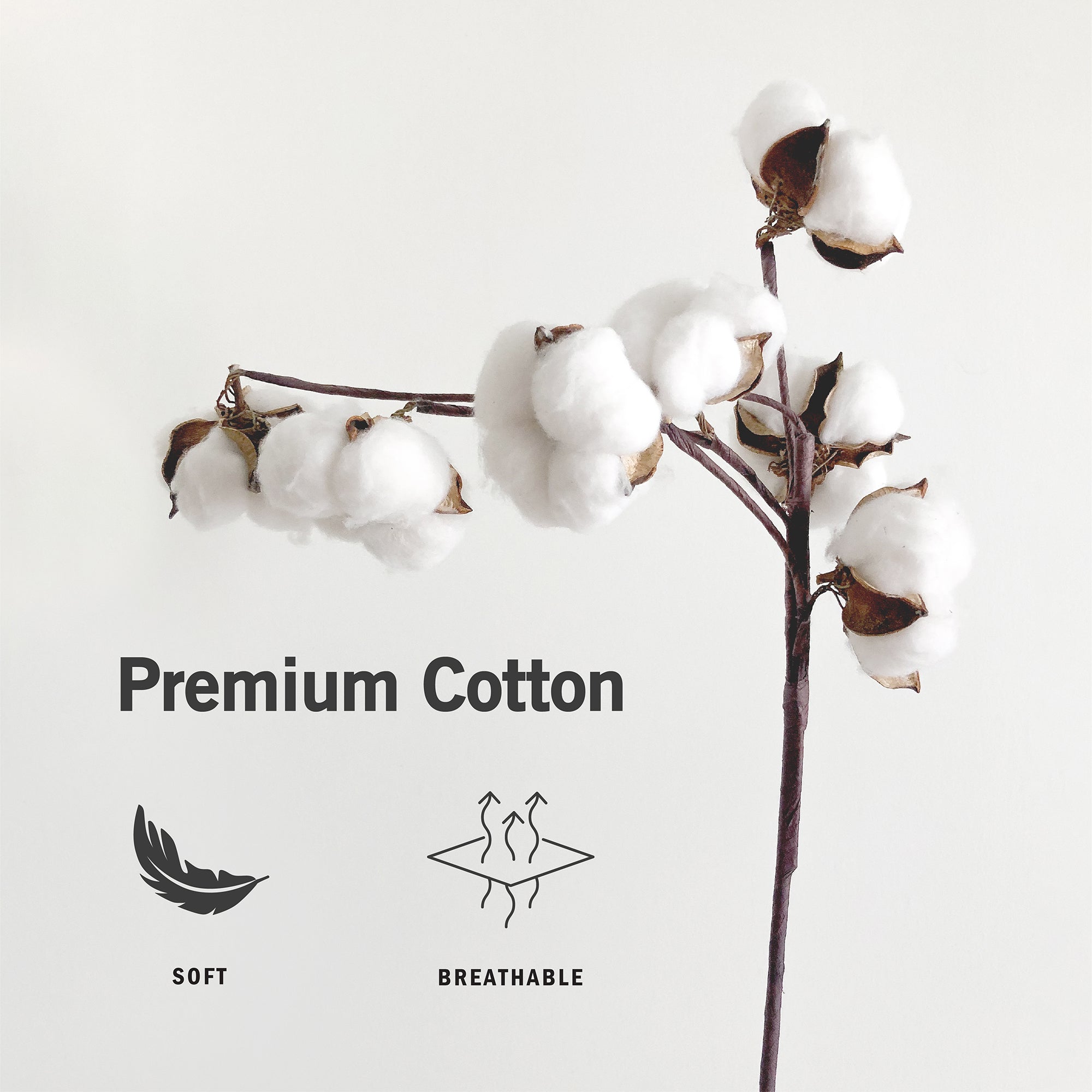 A cotton plant with the words premium cotton on it.