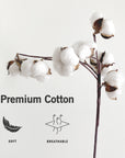 A cotton plant with the words premium cotton on it.