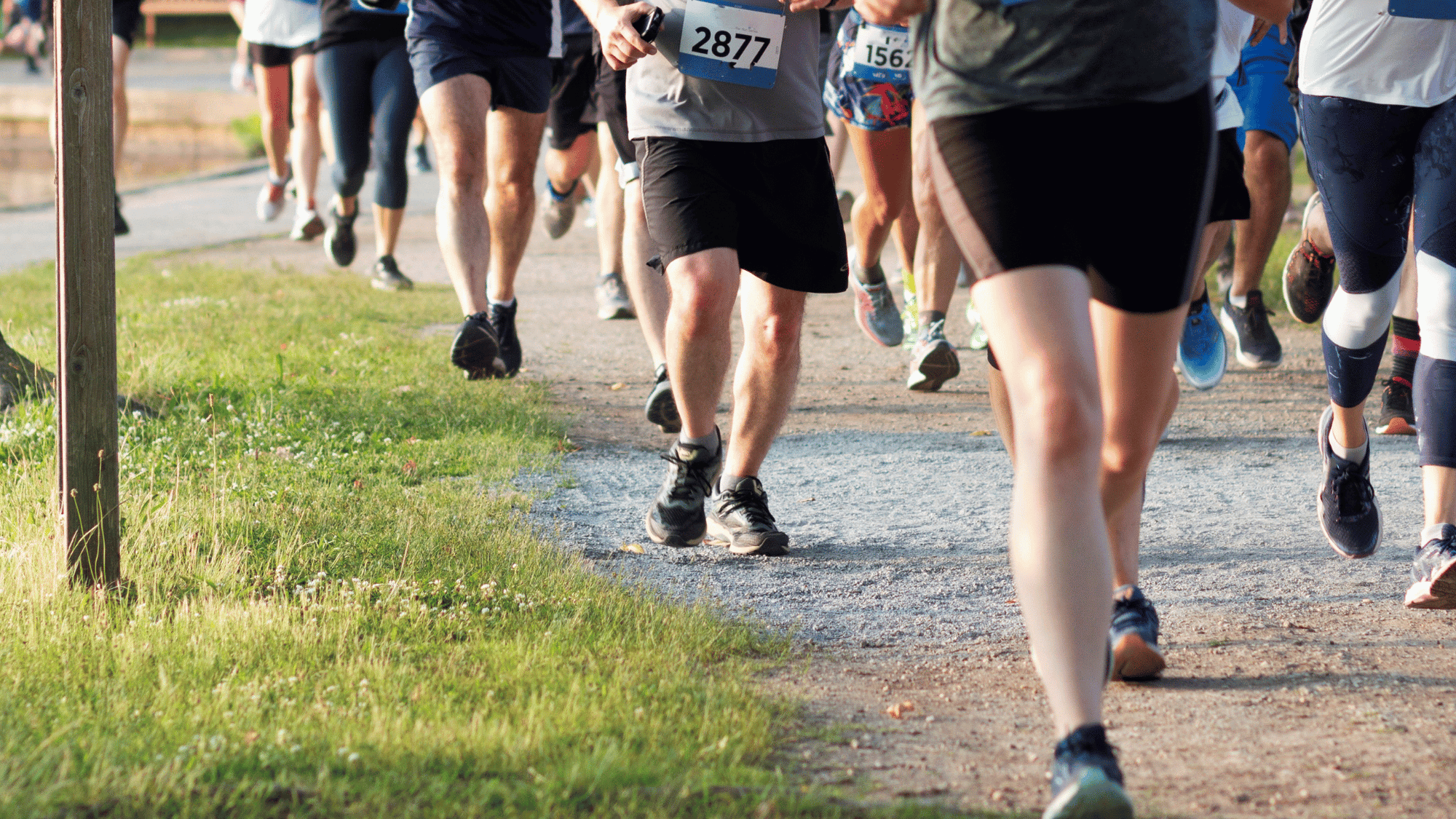 photo of people running