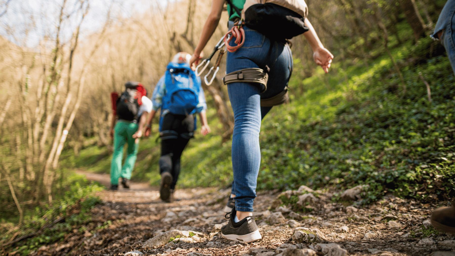 Group of hikers walking on a forest trail, with focus on the legs of the person in the foreground wearing hiking shoes and carrying gear.