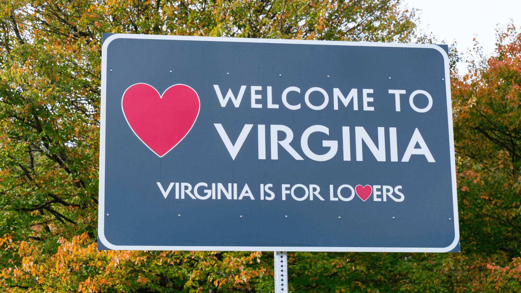 "Virginia Is For Lovers" Street Sign