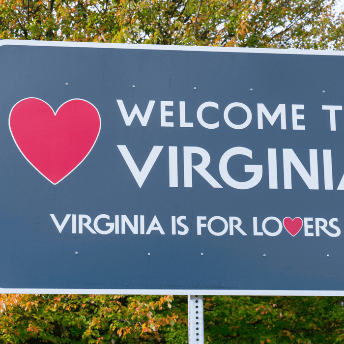 "Virginia Is For Lovers" Street Sign