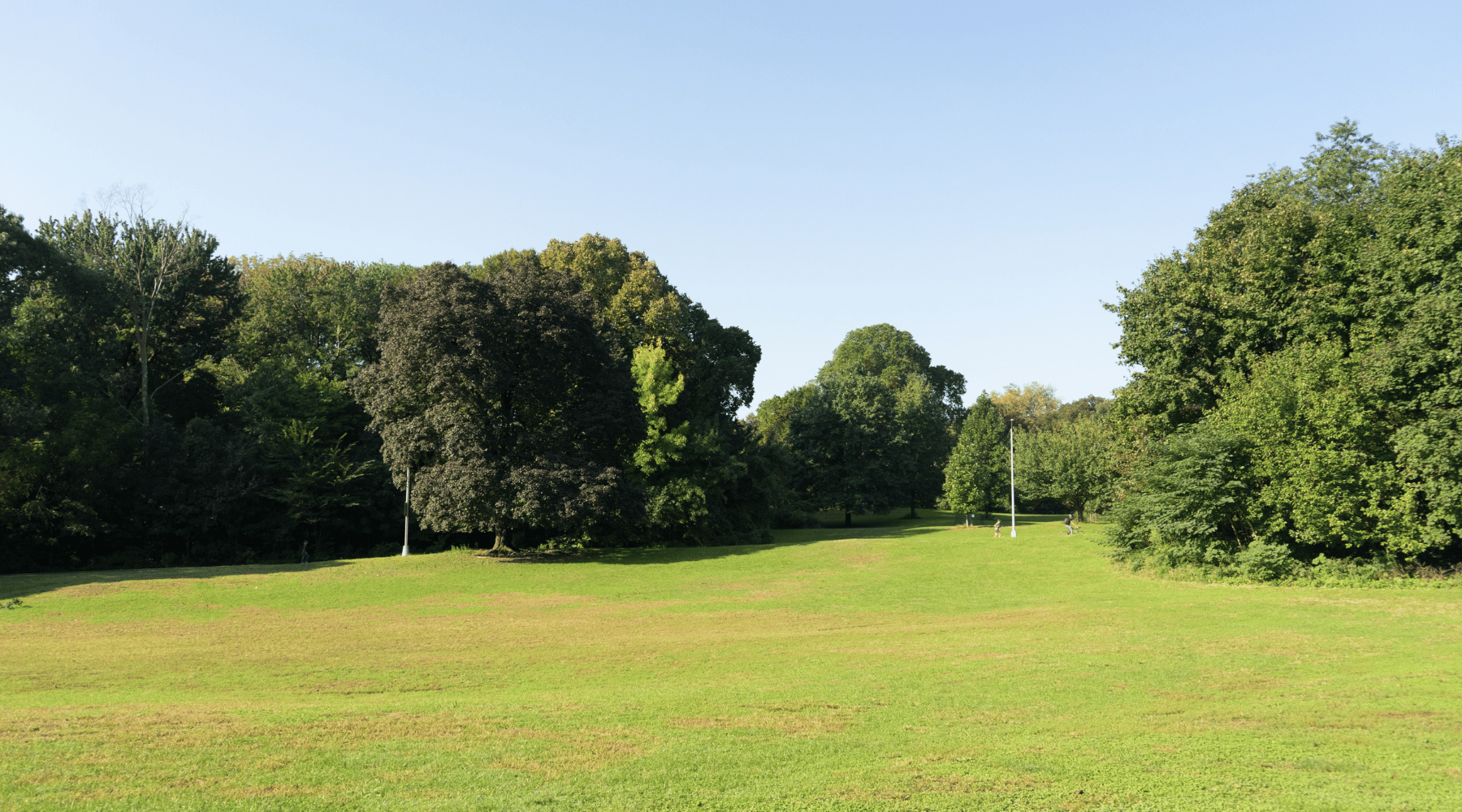 A sunny day in Prospect Park. A large open field is surrounded by tall trees with full, green leaves. A few lampposts are visible along the tree line. In the distance, a path winds through the park. The sky is clear blue.