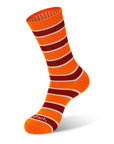 Striped Crew High 1 Pair Socks